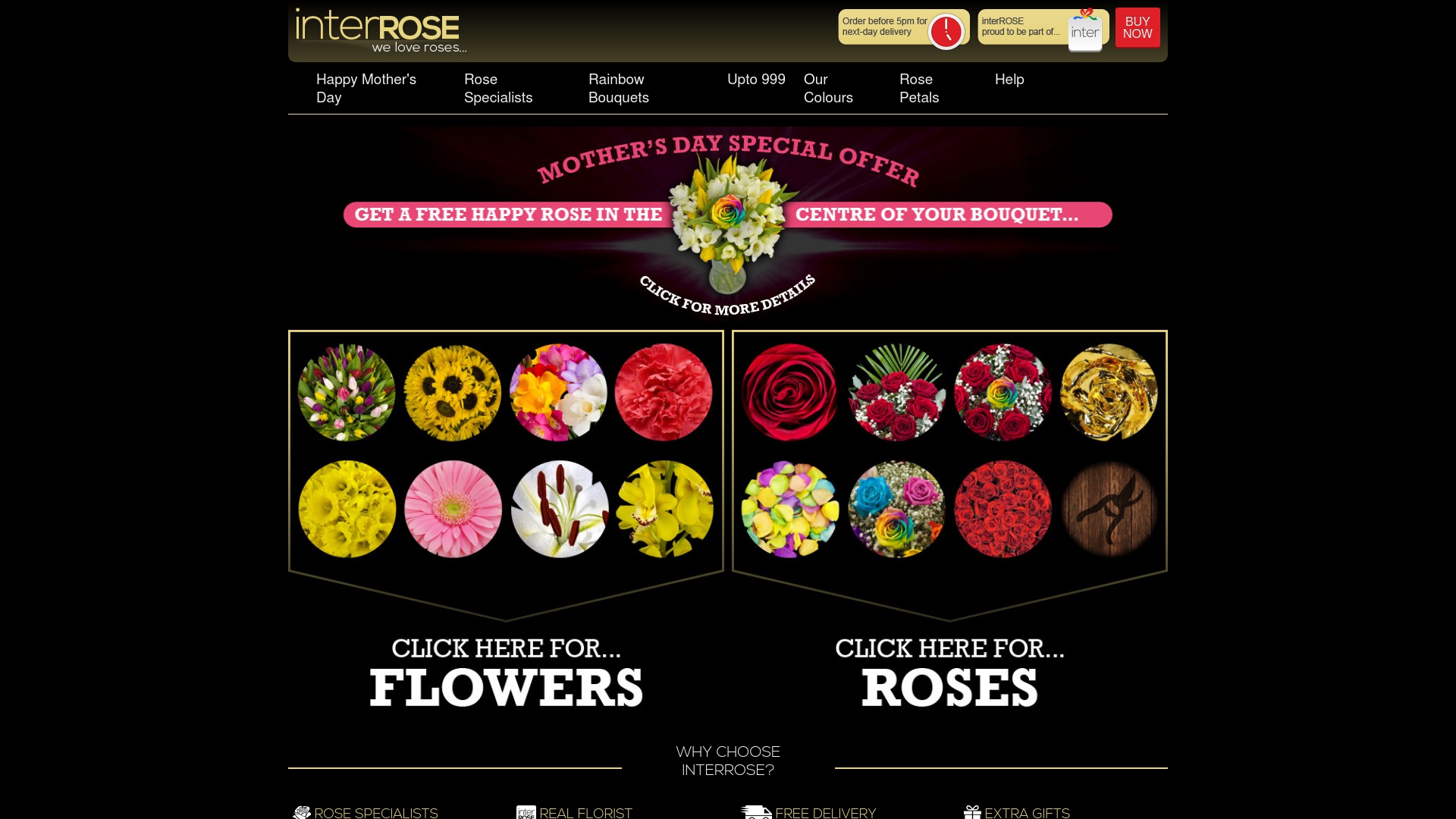 Geld zurück bei Interrose: Jetzt im M&auml;rz 2026 Cashback für Interrose sichern