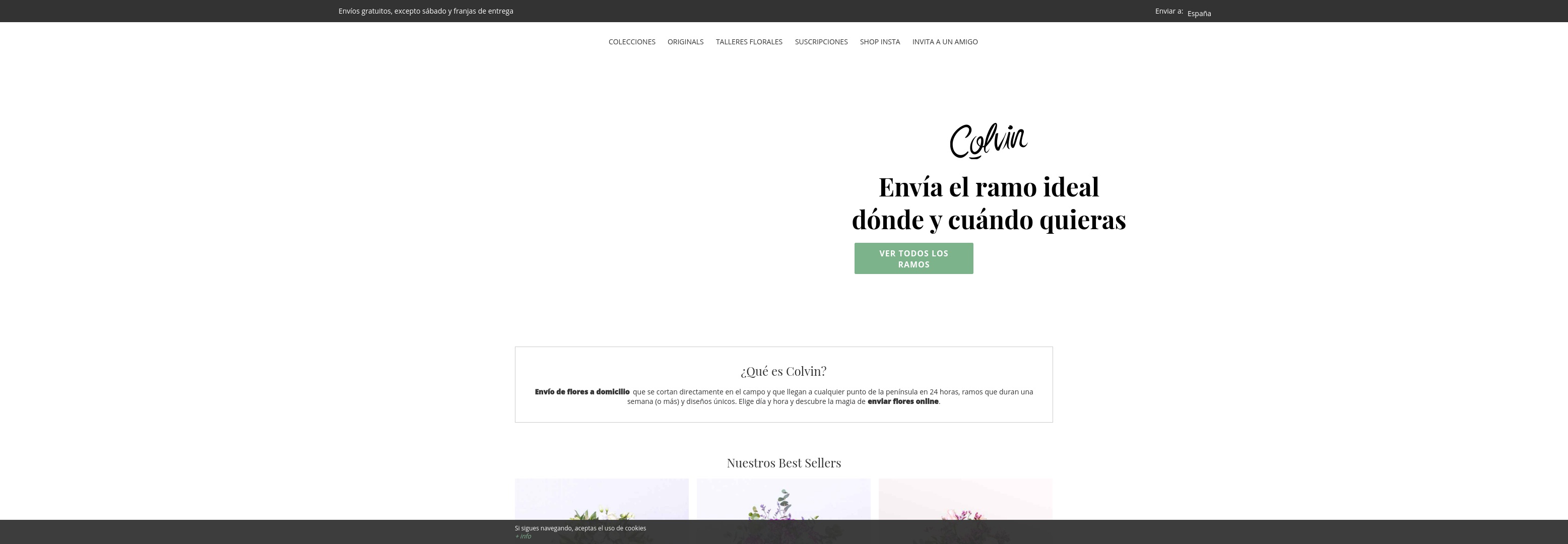 Geld zurück bei Thecolvinco: Jetzt im Februar 2026 Cashback für Thecolvinco sichern